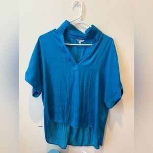 Naked Zebra Teal V-Neck Blouse